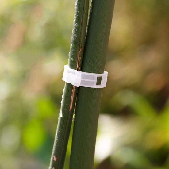 50Pcs Plastic Vine Plants Vegetables Support Clip Garden Greenhouse Holder Tool