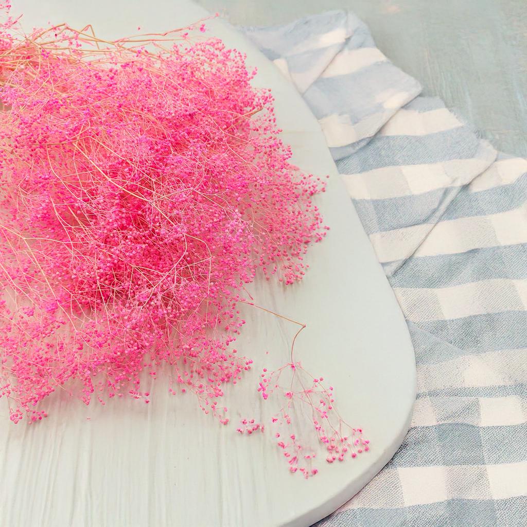 Mini Stabilized Gypsophila - (Gypsophila) - Pink