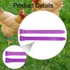 100 Pieces Chicken Leg Bands Poultry Identification Tags Rings for Bantam