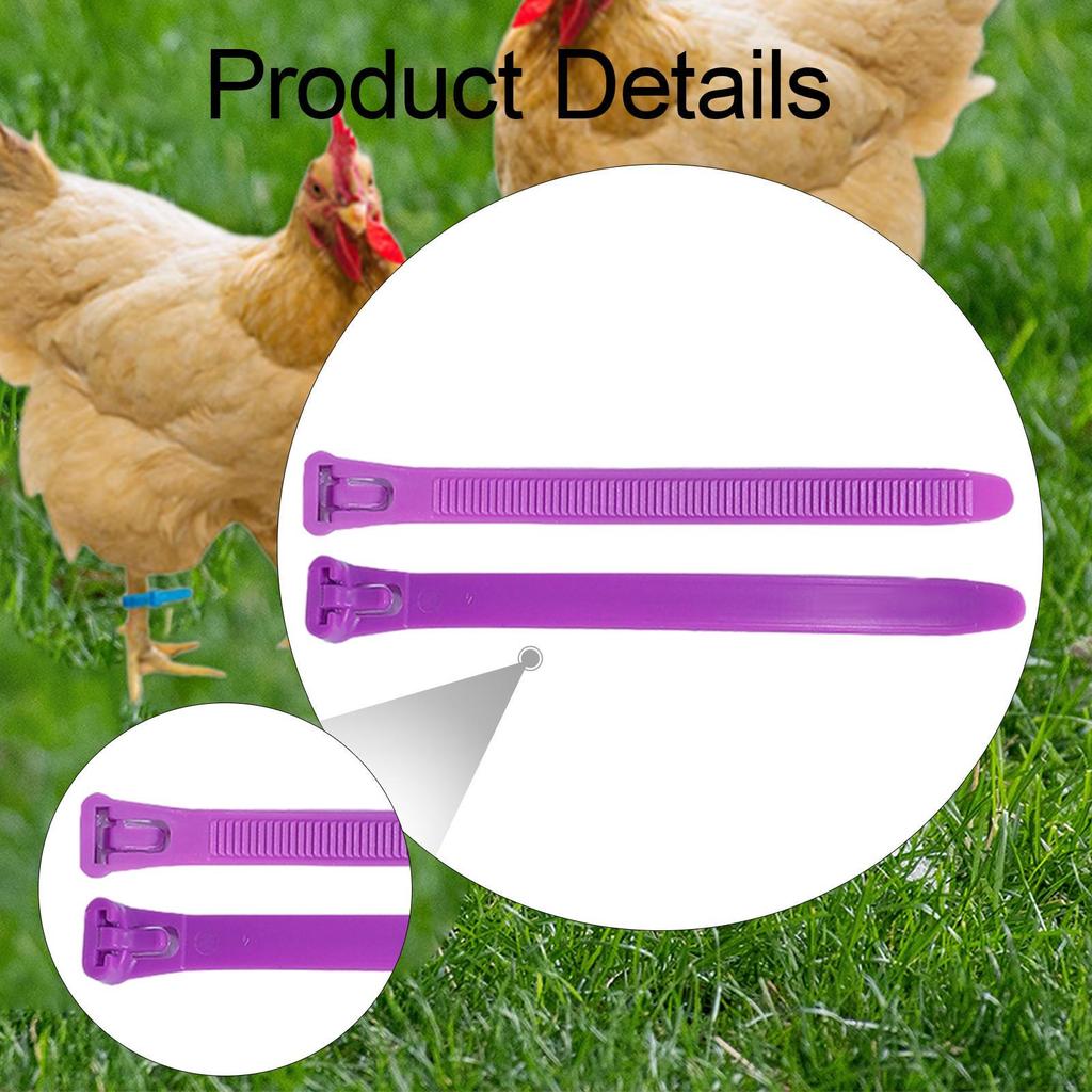 100 Pieces Chicken Leg Bands Poultry Identification Tags Rings for Bantam
