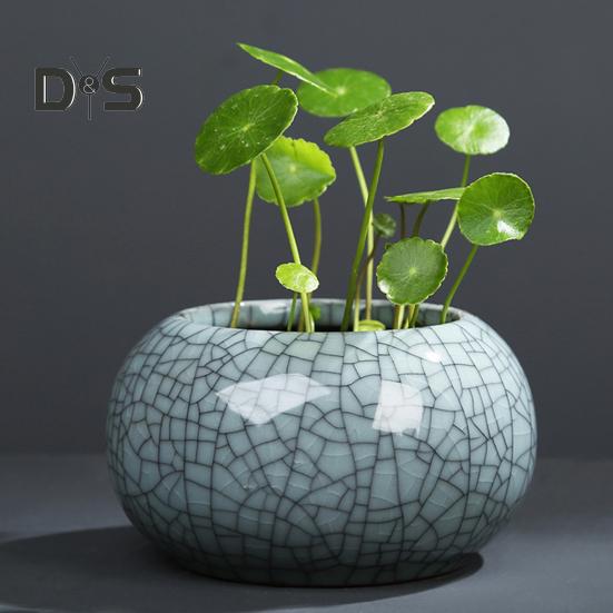 Керамическая чаша для выращивания лотоса, круглый мини-горшок для цветов, глазурованная чаша для бонсай, горшок для посадки щитолистника, небольшие гидропонные растения