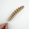 10-15cm Female Pheasant Feathers Jewelry Creation Colored Handicraft Accessories Natural Plumas DIY Holiday Decorations