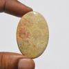 Natural Fossil Coral Gemstone Cabochon, Top Quality Indonesians Fossil Coral Cabochon Craft Supply 63 Carats Oval Shape, Jewelry Making