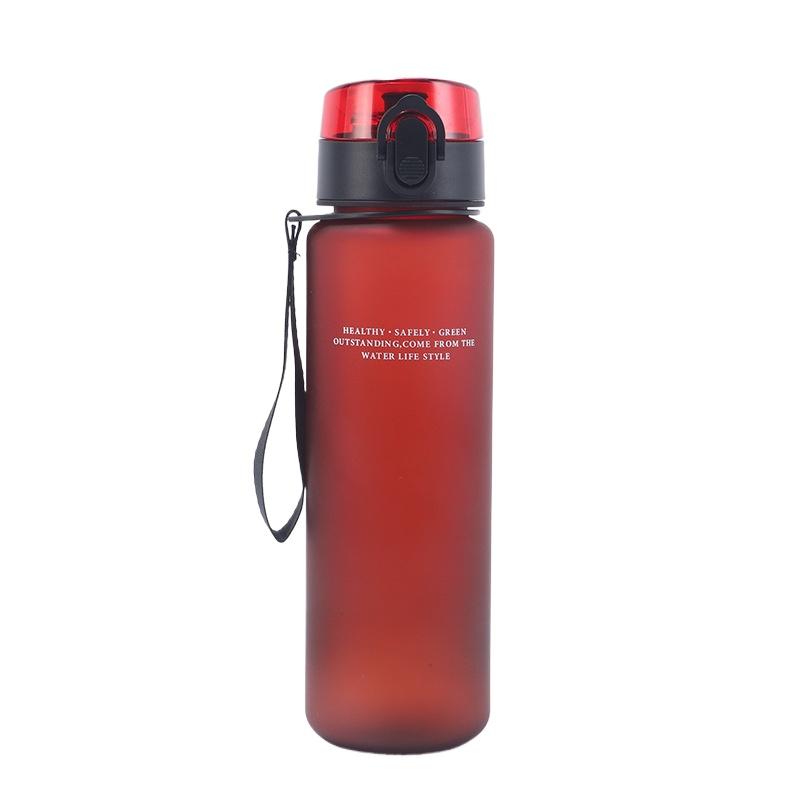 Leak Proof Sports Water Bottle High Quality Tour Hiking Portable Drink Bottles with Filter 500ml 650ml Camping Gym Cup