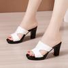 Fashion Women High Heels Summer Slippers Woman Open Toe Casual Block Heel Platform Genuine Leather Shoes 32-43 Women Sandals