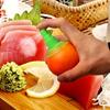 1 пара фруктовых лимонных распылителей для экстрактора сока