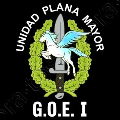 Spanish Legion GOE I Mod 1 Unidad Plana Mayor TShirt Summer Cotton Oneck Mens Short Sleeve TShirt New S3XL