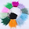 Feather 10-15Cm Ostrich Hair Cloth Edge Clothing Accessories Red Carpet Dress Skirt Material Color Cloth Tape Diy