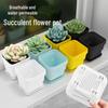 Nordic Style Succulent Pot with Detachable Tray - Square Plastic Bonsai Planter for Balcony