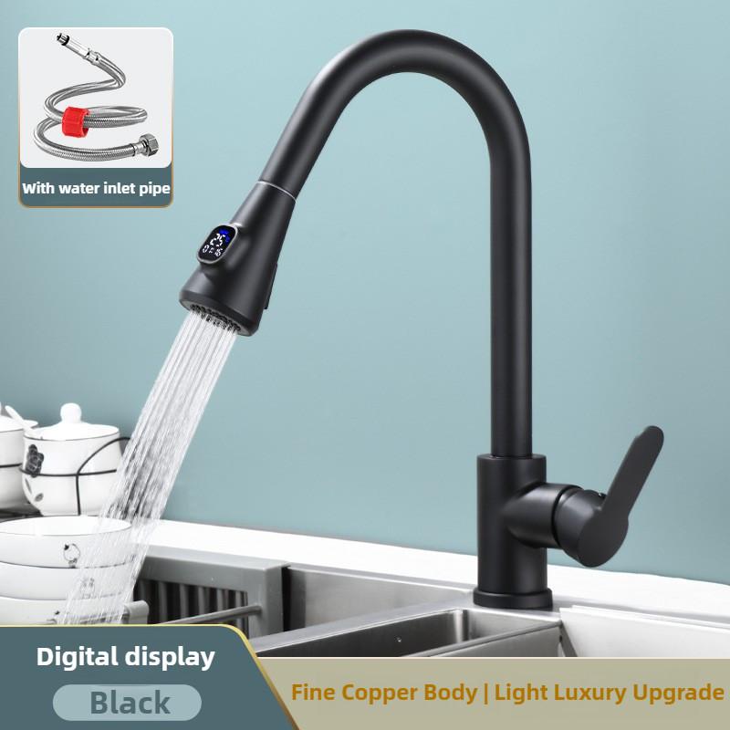 Bathroom 304 Stainless Steel Pull-out Washing Basin Water Tap Household Kitchen Dual Mode Sink Faucet