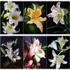 Новый 5D DIY алмазная живопись цветы лилии Алмазная вышивка пейзажи вышивка крестиком полная круглая дрель домашний декор ручной подарок