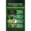 Удобрение для орхидей с медленным высвобождением Gentleman Orchid Butterfly Orchid Специальное для стимулирования цветения