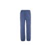 Треккинговые брюки ACG 'Diffused Blue Summit White' CV0661-491
