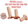 M2 M3 M4 M5 M6 M8 M10 M12 x4-50мм PEEK Нейлон Шлицевой Потайная Головка Винты Болты Электрическая Изоляция Высокая температура