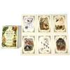 The Green Witch's Oracle Deck 10.4*7.3 Cm Embrace The Wisdom and Insight of Natural Magic 50 Pcs Cards