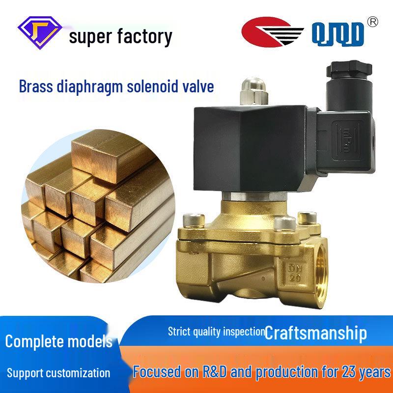 Premium Zero Pressure Start Diaphragm 2W Series Brass Water Solenoid Valve for Fountains