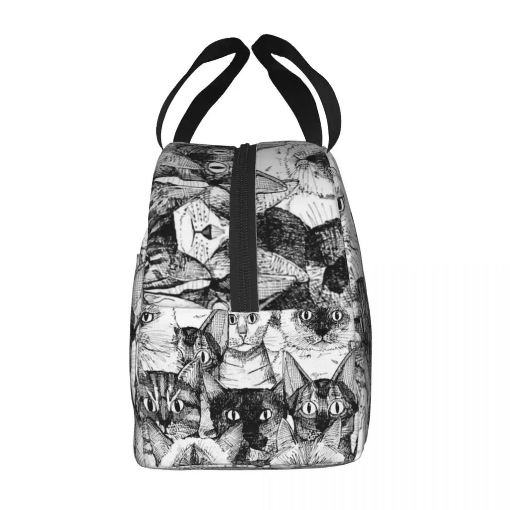 Сумки для ланча для женщин, детей, животных, кошек, домашних животных, милый термохолодильник, водонепроницаемый ланч-бокс Oxford для пикника, сумка Bento