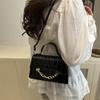 Handbag Simple and Fashionable Commuter Shoulder Bag 2025 Summer New Trendy and Fashionable Korean Version Stone Pattern Messenger Bag