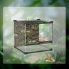 Reptile Glass Terrarium With Stone Background Front Ventilation Escape Proof Knob Lock 30 X 30 X 30 Cm Black