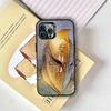 Чехол для телефона с изображением аниме-фильма C-Constantine для iPhone 17,16,15,14,13,12,11 Plus,Pro Max,XS, Цветной серебряный чехол для телефона Funda Cover