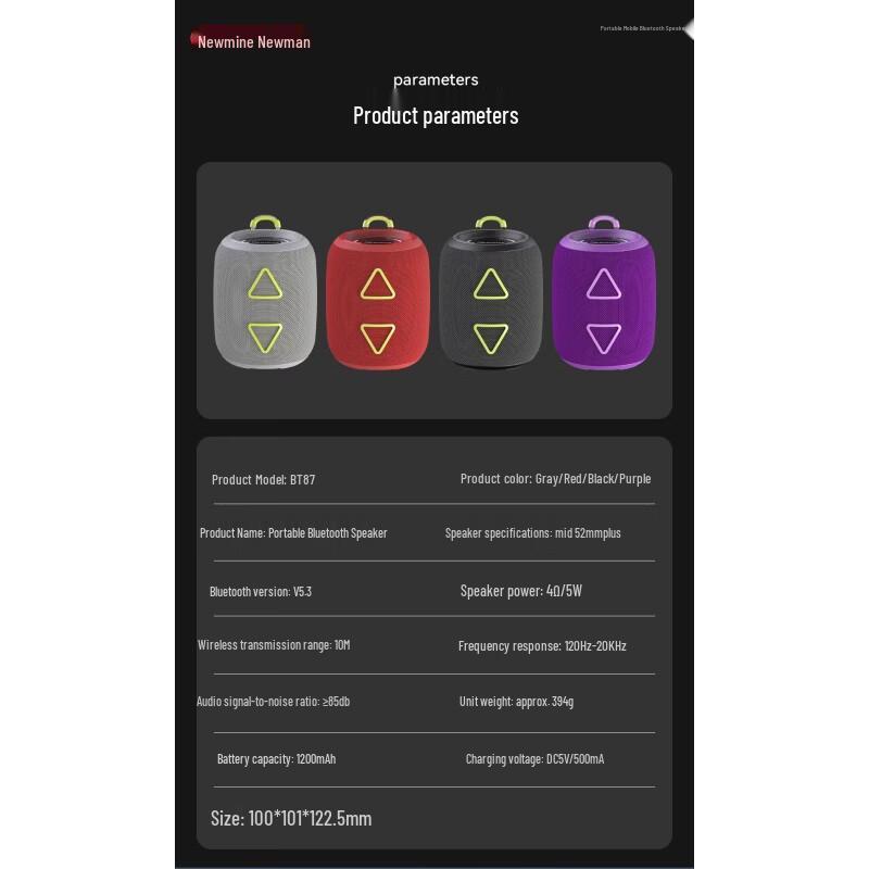 Портативная Bluetooth-колонка Newmine BT87, штекер CN (адаптер в комплекте)