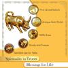 100% Pure Brass Bull Show Pieces for Home Decor Living Room Decorative Items |