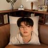 Актер Сон Кан Наволочка Модная Квадратная Наволочка Спальня Диван Гостиная Ins Декор Отдых