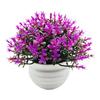Artificial Plant Pot Ornamental Photo Props Plastic Desktop Fake Grass Plants for Outdoor