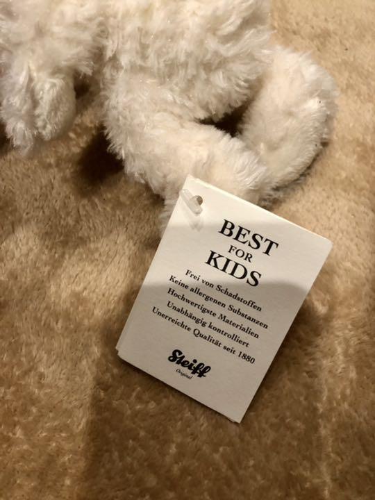 [USED] Steiff Lotte Teddy Bear, 18cm