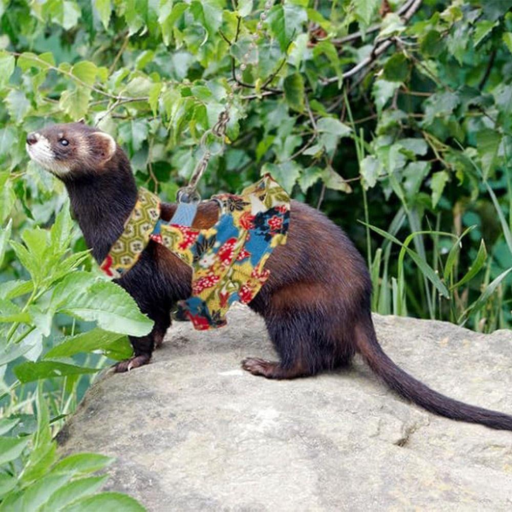 Multicolor Ferret Harness and Leash Set Floral Pattern Traction Rope Squirrel Floral Skirt Wear-resistant Breathable
