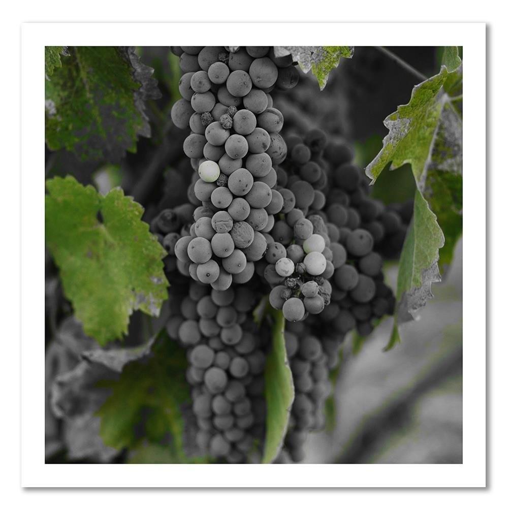 Canvas print, Grapes