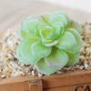 1Pc Artificial Succulent Plant Bonsai Stage Garden Home Party Desktop Decoration