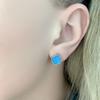 Silver Earrings with Turquoise (2082330)