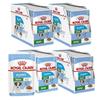 Royal Canin Shn Mini Puppy Food In Sauce 48X85G