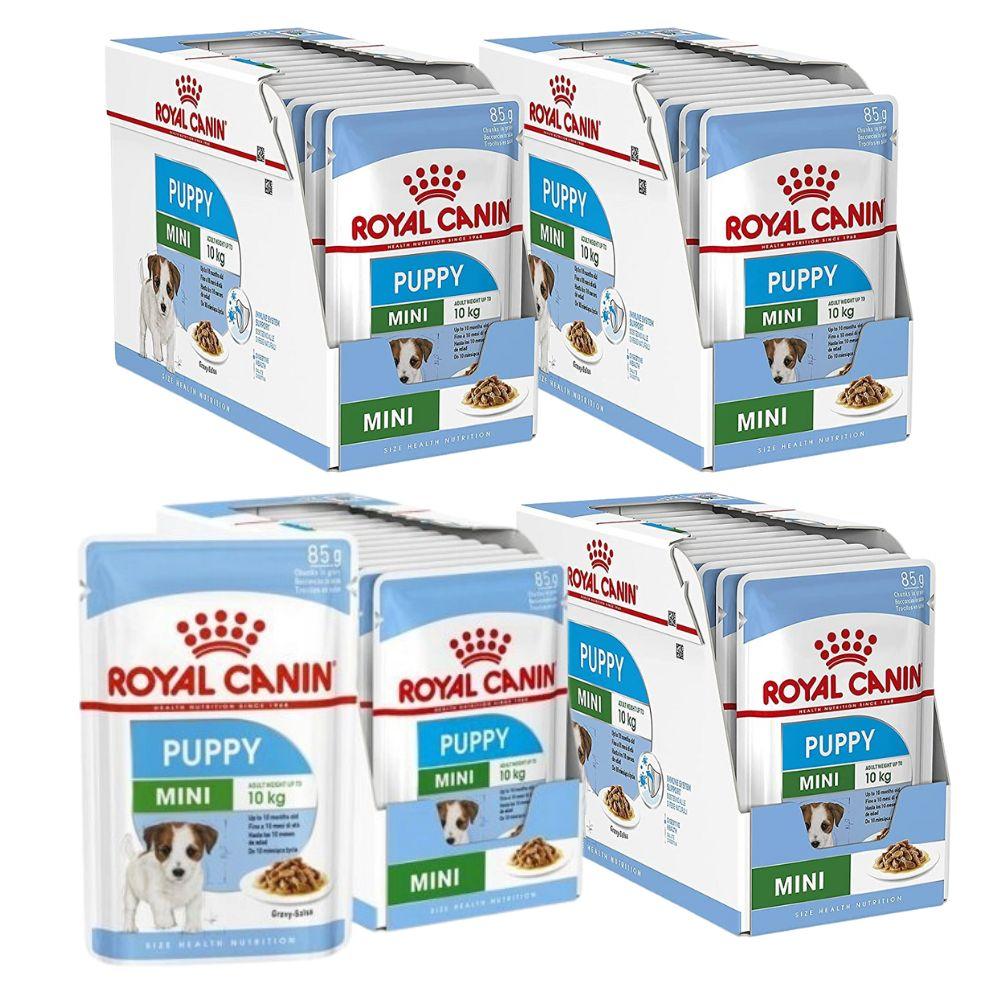 Royal Canin Shn Mini Puppy Food In Sauce 48X85G
