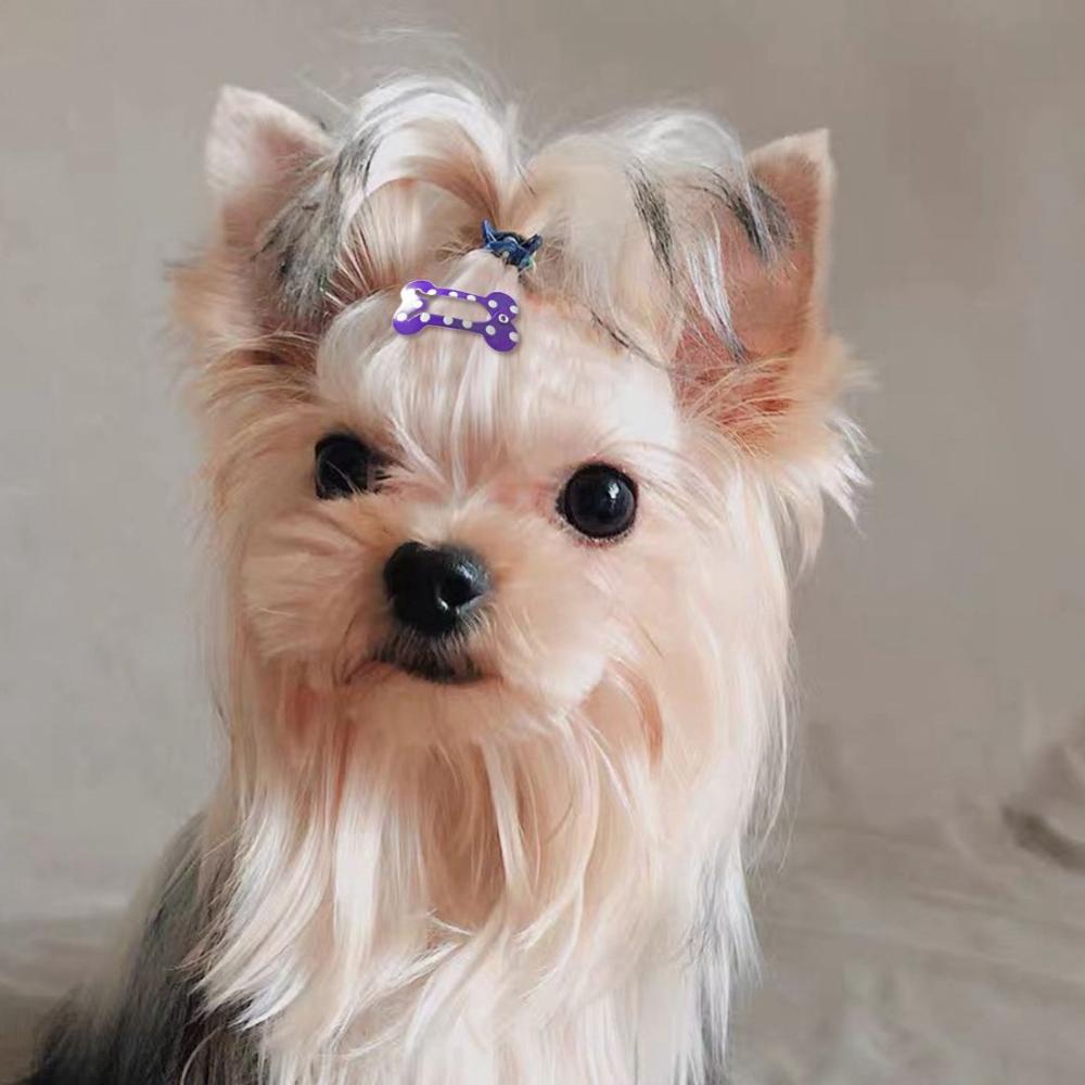 Cute Dot Pattern Bone Shape Puppy Grooming Accessories Dog Supplies Pet Hairpin Dog Hair Clip