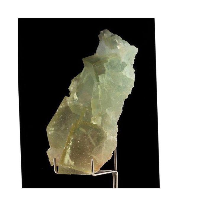 Pierres et Minéraux. Fluorite + Quartz. 999.65 ct. L'Avellan Mine, Fréjus, Var, France.