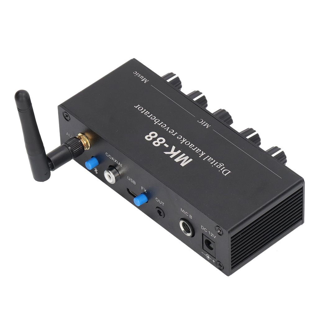 Цифровой ревербератор стерео усилитель Bluetooth 5.0 двойной микрофонный вход DC 12V