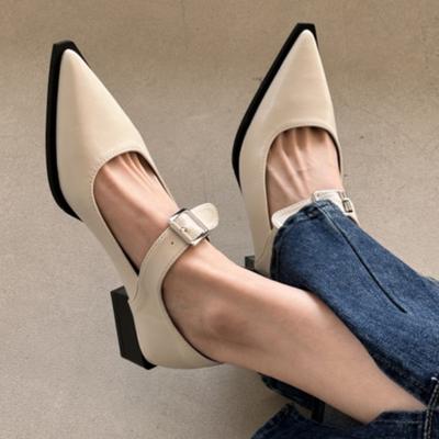 Женские туфли на высоком каблуке, осенняя новинка, ретро, французская пряжка, Мэри Джейн, женская обувь с острым носком, противоскользящая, дышащая, элегантные одинарные туфли