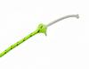 TSUCIA Tent Guide Rope with Reflective Material Paracord for Tent/Tarp