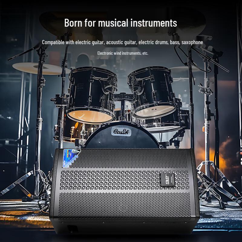 SAST SA-179 Outdoor Professional Instrument & Performance Speaker CN plug (adapter included)