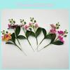 Orchid Butterfly With Realistic Leaves For Wedding And Settings Event