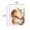 SZKLANA DESKA DO KROJENIA 40x52 Grzyby