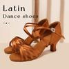 Women Latin Dance Shoes High Heels Tango Party Dance Shoes For Girls Ladies Satin Salsa Sandals Dancing Ballroom Shoes