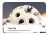 Charming Owl Plush Toy - Adorable Bird Doll for Kids' Gifts