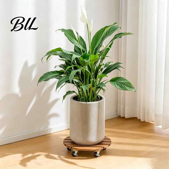 Stable Plant Dolly for Farm Round Wood Caddy with Wheels, Heavy Duty Rolling Stand Garden Decoration Mover Sidewalk Casters, Movable Flower Pot Indoor