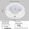 Sound & Light Sensing LED Ceiling Light