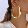 European and American Simple Personality Exaggerated Glossy Earrings Temperament Metal Geometric Fashion Earrings High-end Light Luxury Earrings