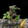 Simulation Aquarium Artificial Plants Decorative Sunken Wood Underwater Grass Aquarium