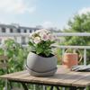 Plastic Irregular Flower Pot Desktop Ornament Plant Container New Flowerpot  Indoor Decor